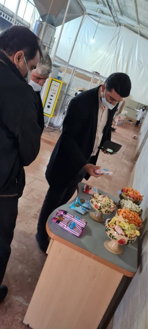 بازدید کارشناسان